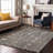 Premium Machine Washable Colmenero AMF1009 Oriental Rug-1085422652