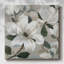 Southern Charm I sur impression sur toile-1642596266