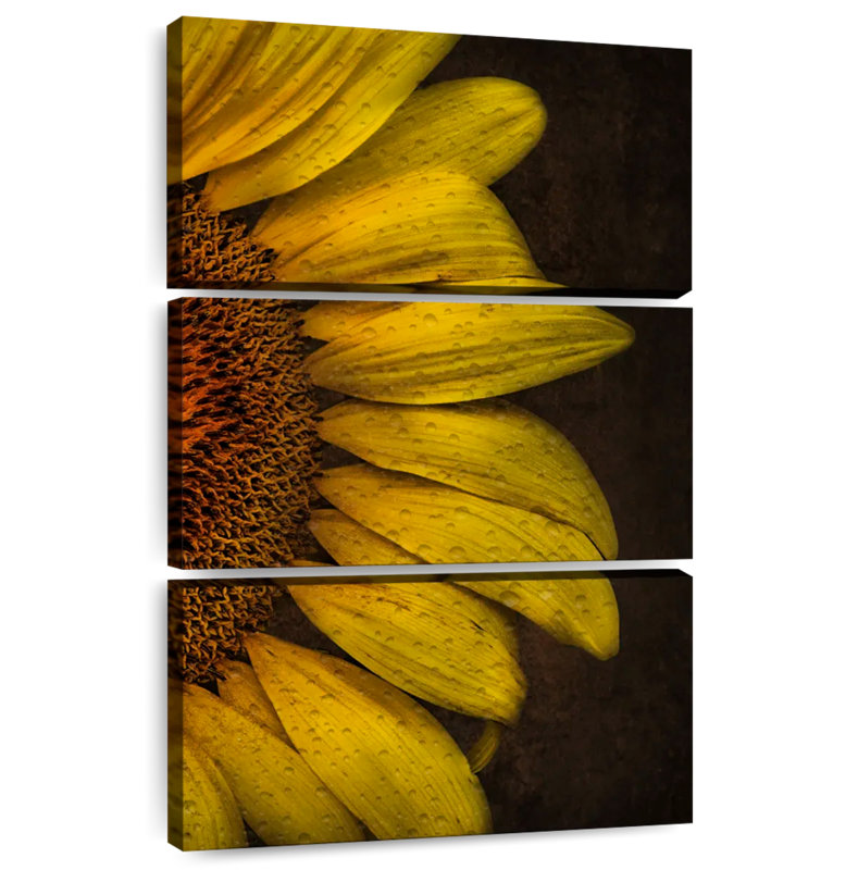 Harnek Dark Golden Rain, 32" H x 20" W