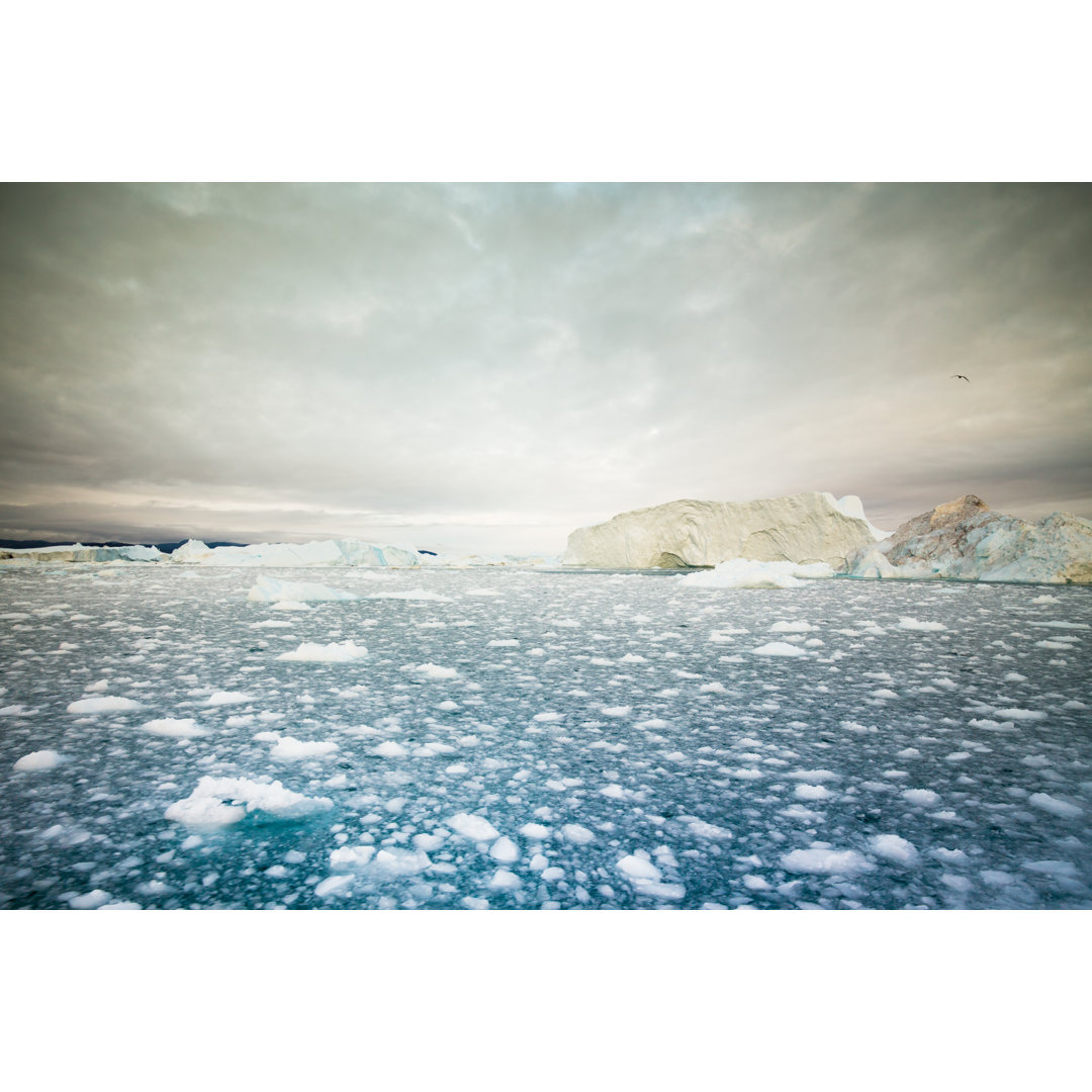 Arktische Eisberge - Leinwandbild