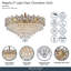 Regalia 21-Light Chandelier