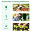 Serre de jardinage 12 pi x 10 pi x 7 pi, structure en acier galvanisé, blanche, avec fenêtres en filet pour une croissance et une nutrition optimales des plantes. Serre de plain-pied de 7 pi, porte avec circulation d'air.