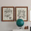 "Antique Black and White Botanical VI", ensemble de 2 reproductions d'art sur toile-1503099808-1503099806