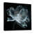Black Floater Framed Canvas