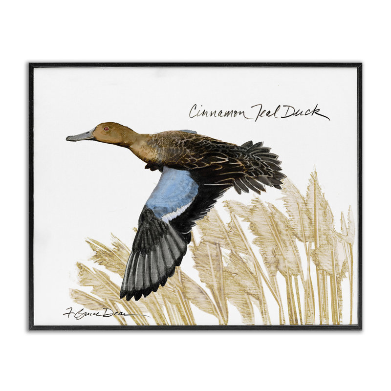 Cannelle sarcelle cannelle, giclée encadrée par Jadei, Giclée encadrée noir minuit, H 16 po x l 20 po