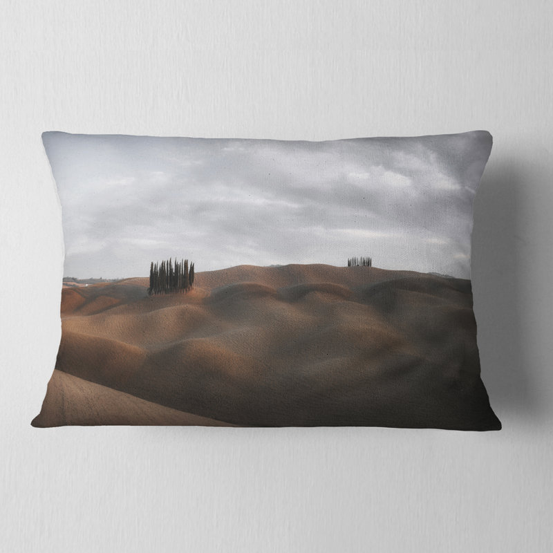 Coussin Schafer