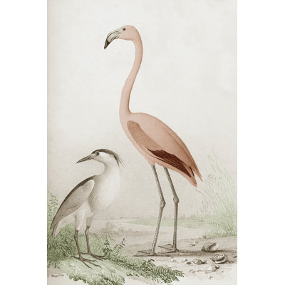 Knezova Antique Chroma Waterbirds I Graphic Art