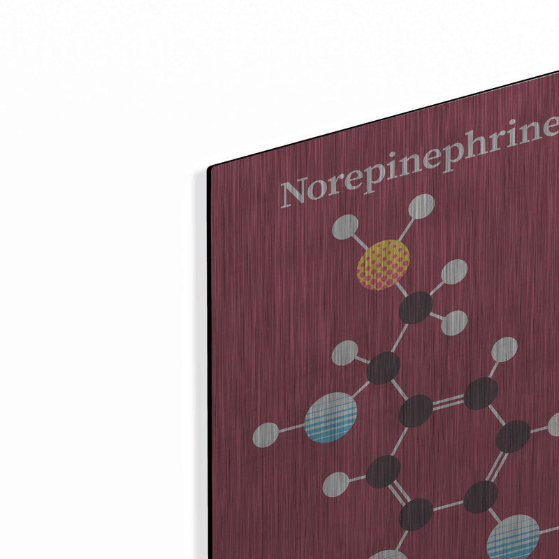 Trinx «Norepinephrine Molecule 2» par Luxe Portfolio, art mural en métal, H 16 po x l 12 po