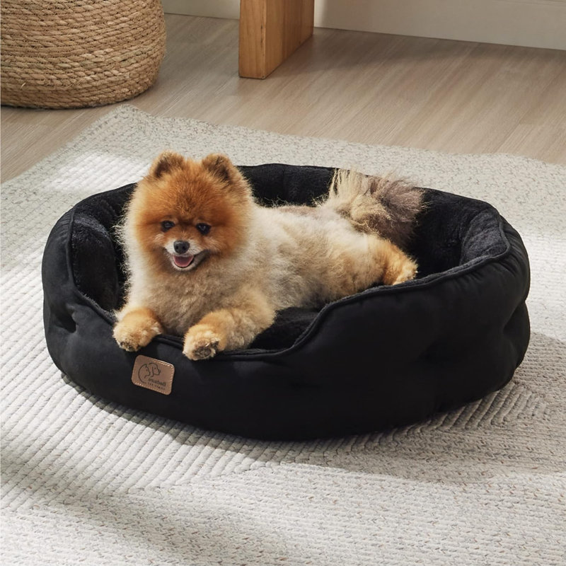 Lit pour animal de compagnie avec traversin, Noir, Petit (L 20 po x l 19 po)