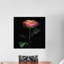 The Glowing Rose, reproduction de photo sur toile tendue-74387317-74387318-74387320