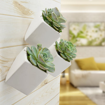 Farmington Ceramic Wall Planter