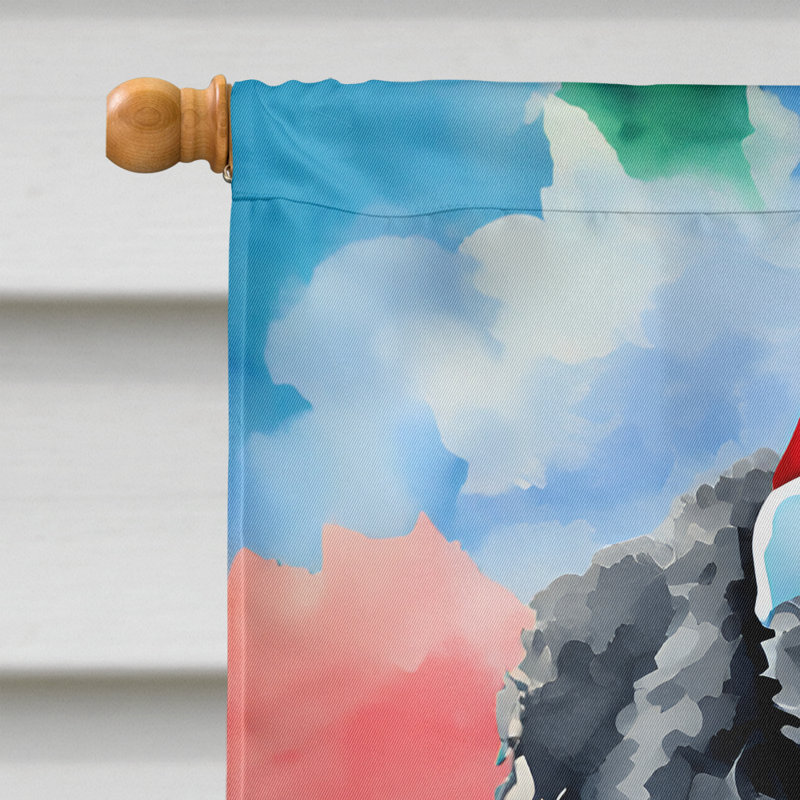Drapeau de jardin en polyester à 2 faces, H 40 po x l 28 po