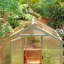 Greenhouse