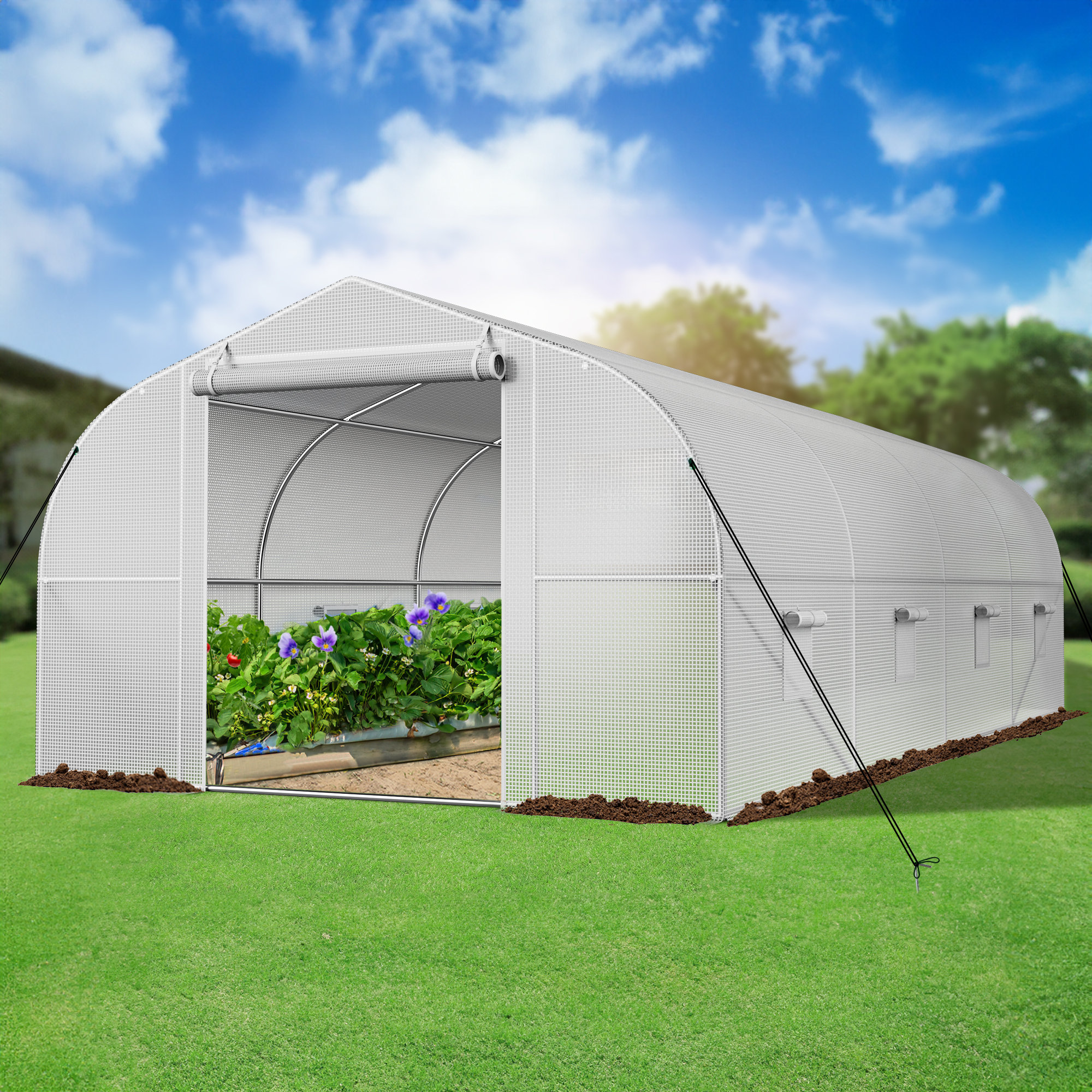 YITAHOME 10'W X 20'D/30'D Heavy-Duty Walk-in Hobby Greenhouse & Reviews ...