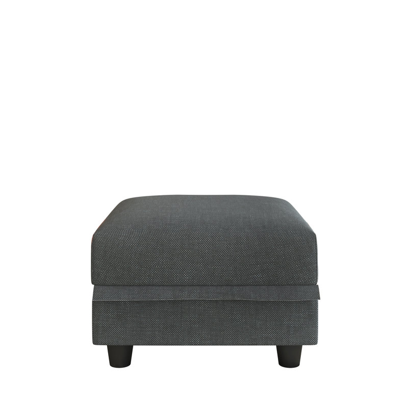 Tomario 25'' Fabric Storage Ottoman, Black