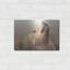 «Big Bear 1» par Karen Smith-618405063