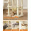 Tour à chat pour chats d'intérieur-1066574701