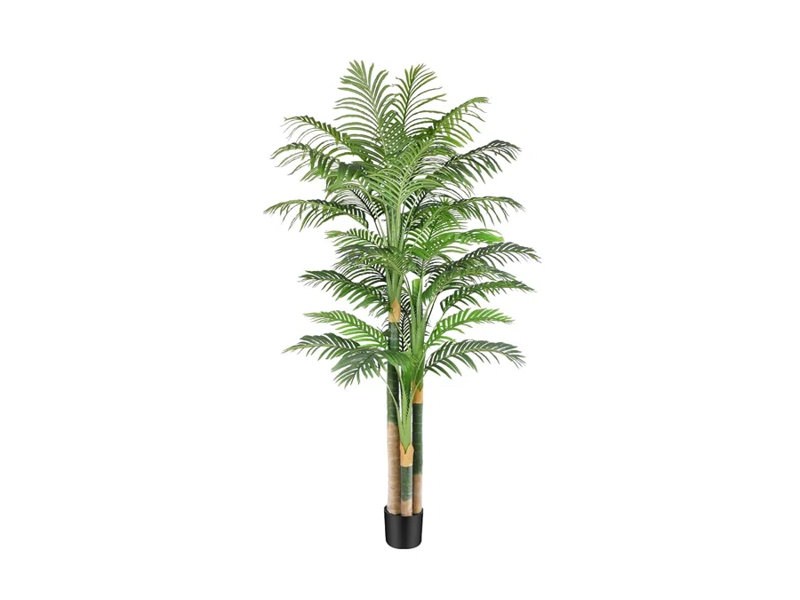 Plant, 70cm H x 21cm W x 21cm D