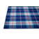 Pender Plaid Indoor / Outdoor Rug