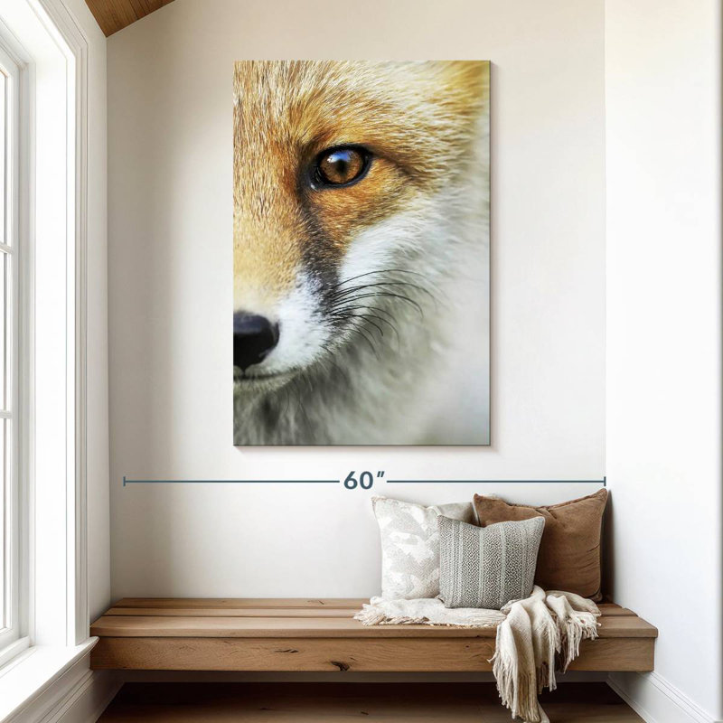 Le regard d'un renard, H 48 po x l 32 po