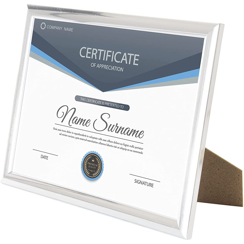 Picture Frame - Set of 12, Silver