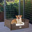 Canapé en rotin pour chien avec coussin en mousse-1765857773-1765857774