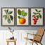 Feuillage antique et fruit VI - ensemble de 3 peintures sur toile encadrées-305686306-305686307