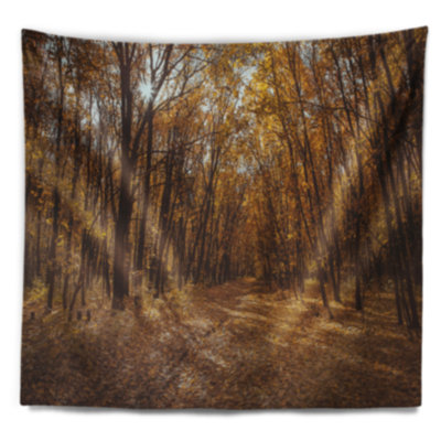 Coucher de soleil sur la tapisserie de la forêt d'automne jaune