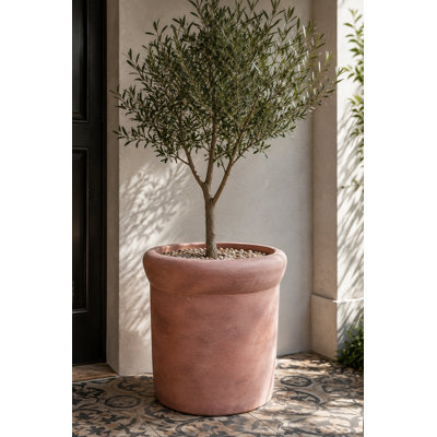 Clay Planter