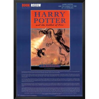 Harry Potter Goblet of Fire - Picture Frame Advertisements Print on Paper -  Buy Art For Less, IF A AC080 1.25 Blk Plexi