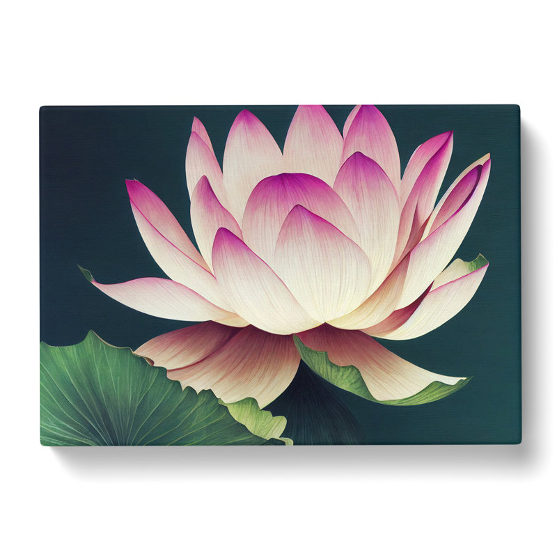 Cute Lotus Flower - Wrapped Canvas, 40cm H x 60cm W x 3cm D