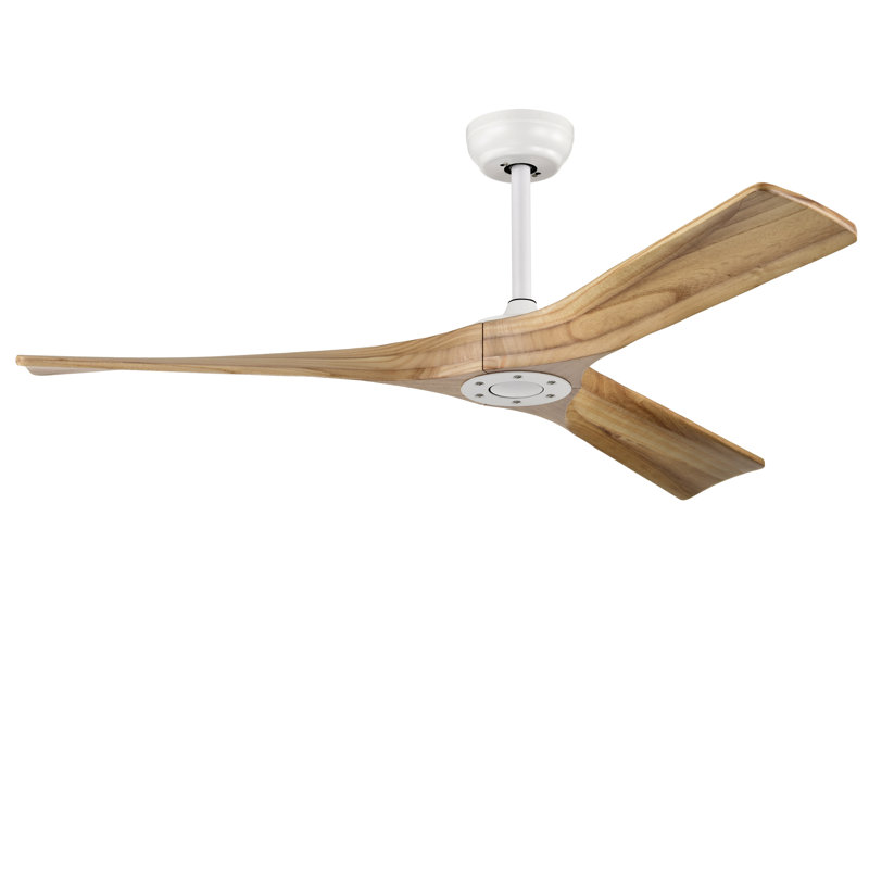 KempBlan Ventilateur de plafond intérieur / extérieur sans lumière, télécommande