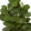 Arbre de figues artificiel en pots 68,5"
