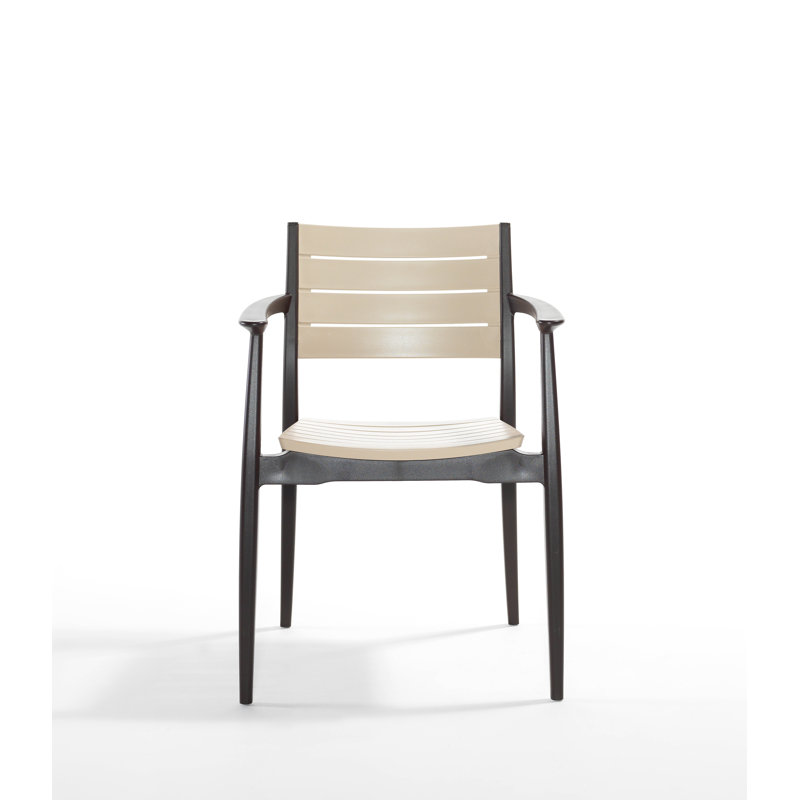 Regnum, ensemble de 6, Beige/noir