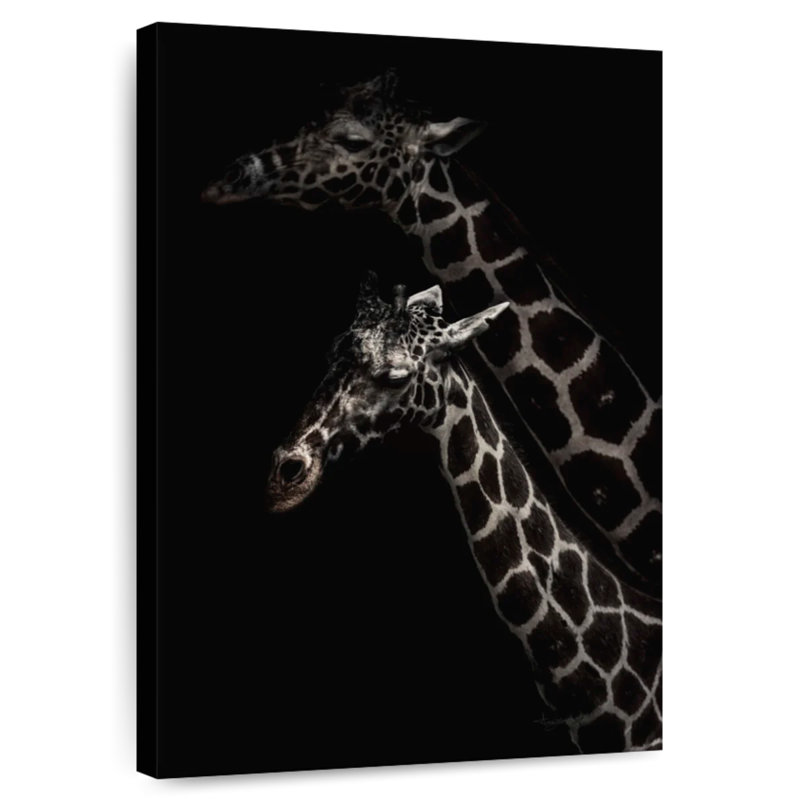 Brampt Two Masai Giraffes, 48" H x 32" W