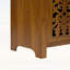 Armoire arquée sculptée à la main, avec tablette ouverte et 2 portes