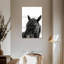Cheval noir sauvage Brampt-108505087