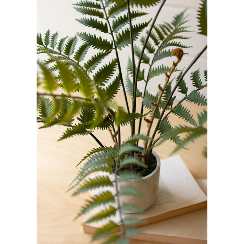  Artificial Plant Fern 28" H Decorative Greenery in Cement Pot