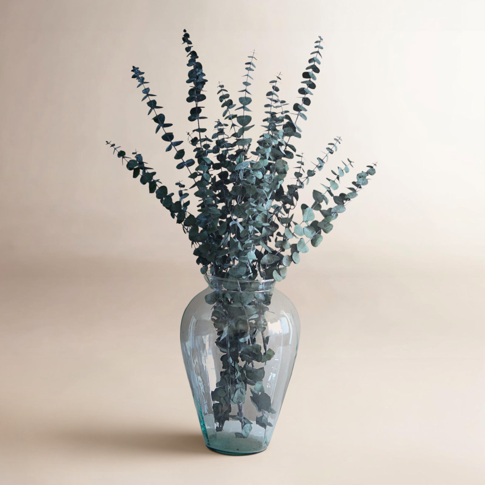 Preserved Eucalyptus Stems, Green