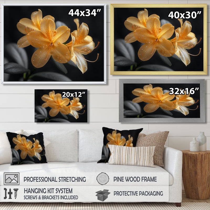 Rhododendron jaune et noir «Midnight Bloom I» - impression d'art mural rhododendron, H 34 po x l 44 po x P 1,5 po