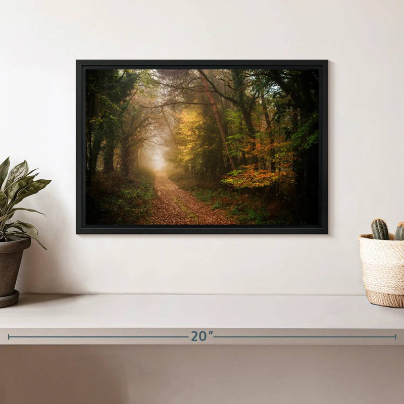 Chemin dans la forêt d'automne, Cadre flottant noir, 13 po x 9 po