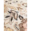 One-of-a-Kind 9' X 12' Area Rug