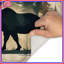 Tapis de bain Moose In Forest-807672003-1061700635
