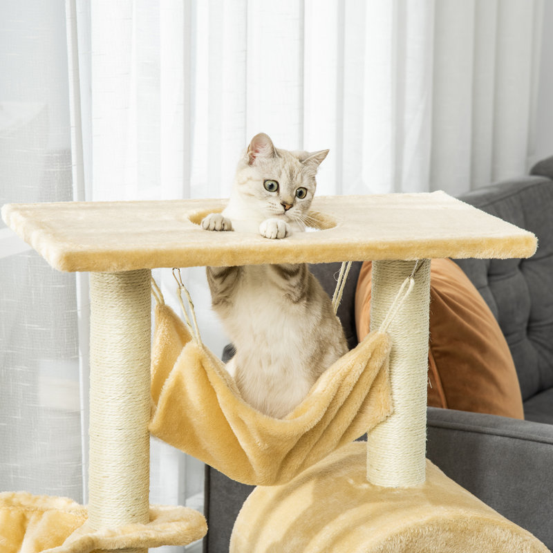 Cat Perch
