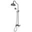 Mcallister Mixer Shower with Dual Shower Head