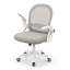 Desk Chair-1253284622