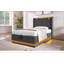 Lit simple tapissier avec éclairage à DEL à 360 °, rangement hydraulique, type-c, lit d'unité centrale noir, lueur 360 °, option de rangement, apparence-1232131245-1202773172