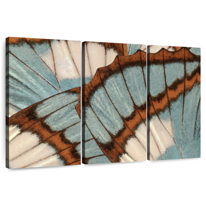 Blue Brown Butterfly Wings, 48" H x 74" W
