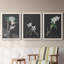 Orchidée sur ardoise I - ensemble de 3 peintures sur toile encadrées-246507833-246507834