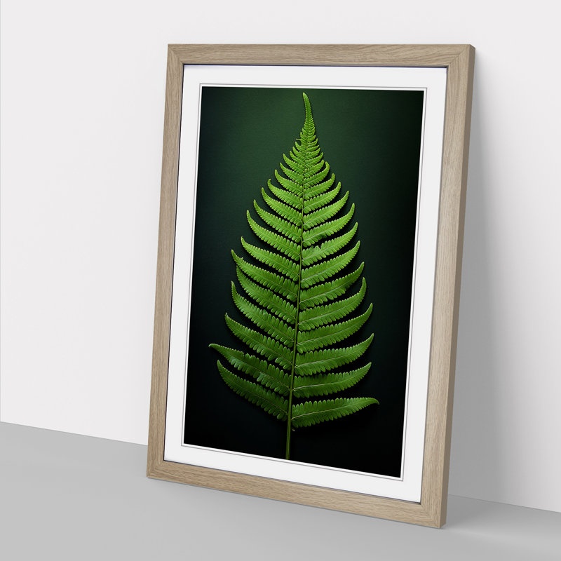 XYZ-FRM-V1223-703 Fern Leaf Tachisme - Single Picture Frame Print on Wood, Oak, 64cm H x 46cm W x 2cm D